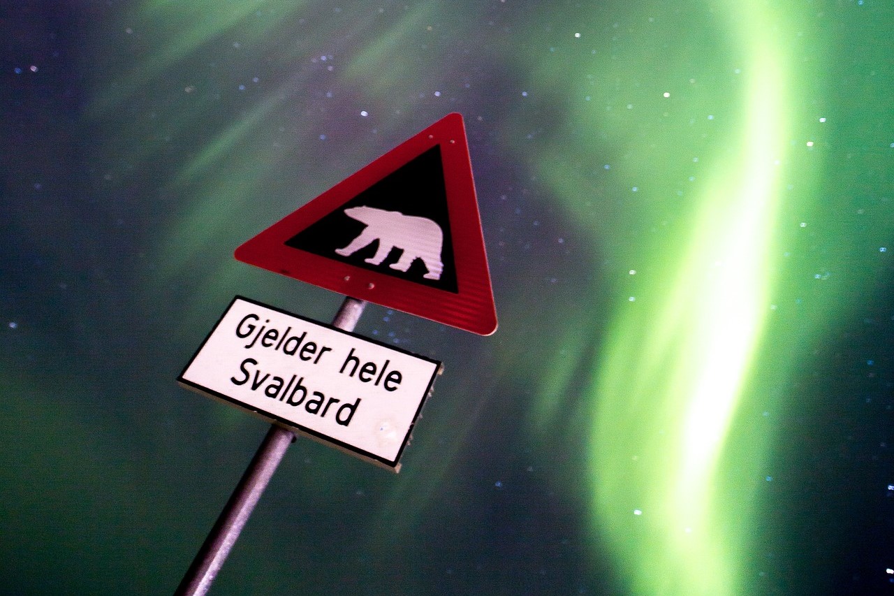 Fuga Polare alle Svalbard 2025